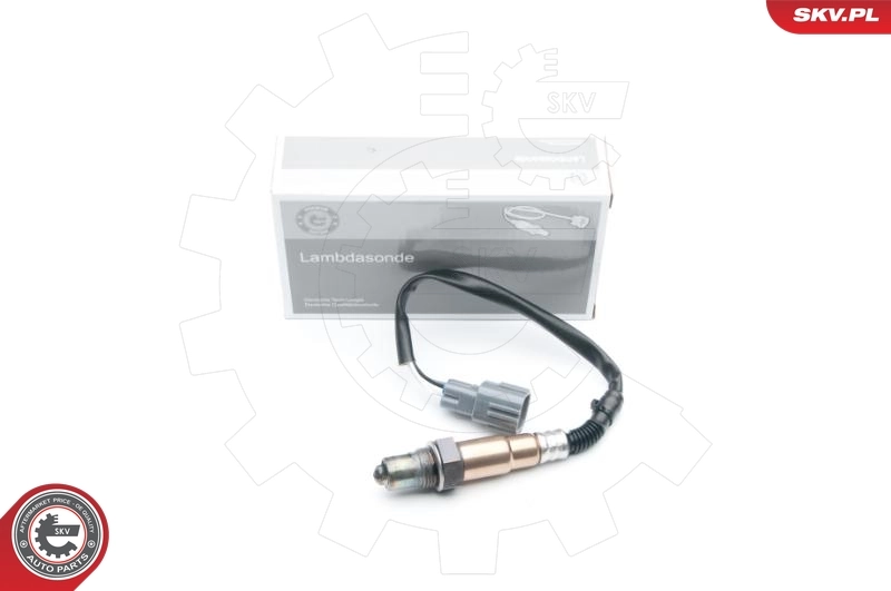 Oxygen Sensor